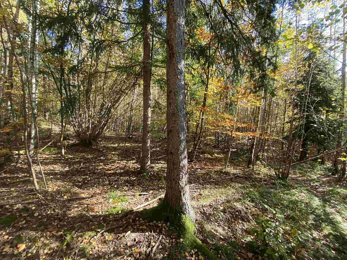 Prodej pole 9794 m²